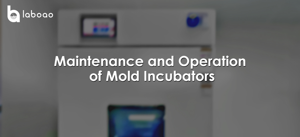 Maintenance And Operation Of Mold Incubators