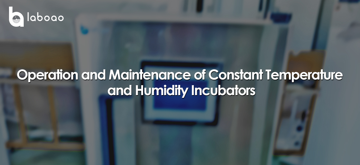 Operation And Maintenance Of Constant Temperature And Humidity Incubators