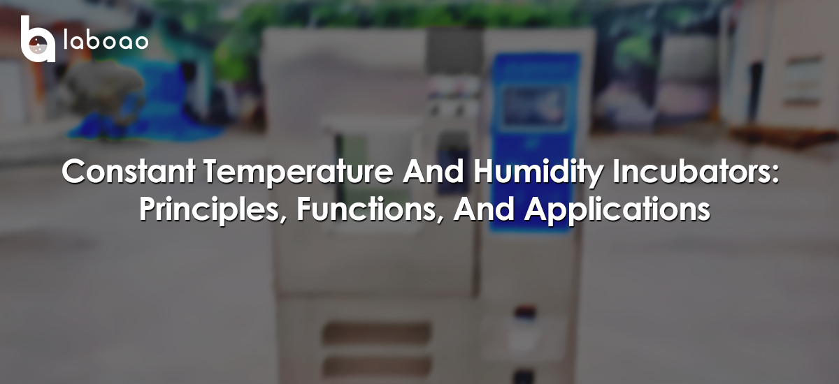 Constant Temperature And Humidity Incubators: Principles, Functions, And Applications