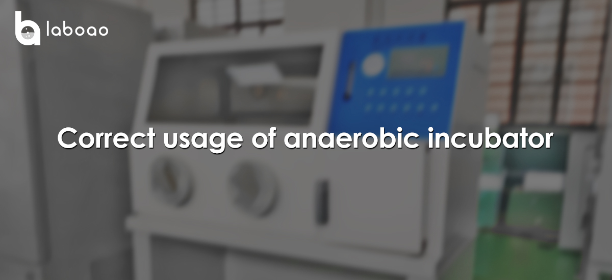Correct Usage Of Anaerobic Incubator