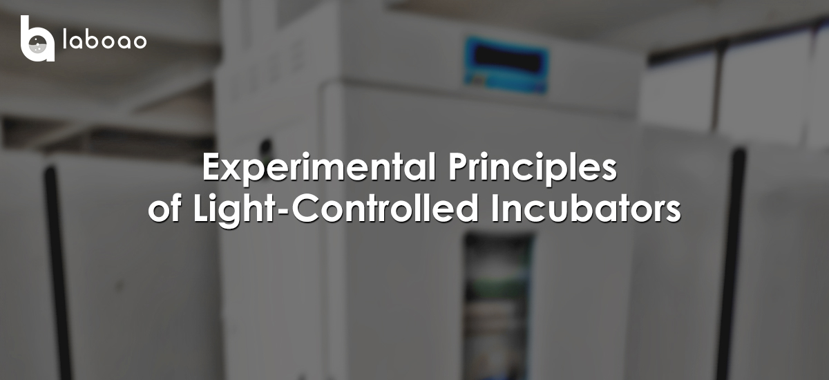 Experimental Principles Of Light-Controlled Incubators