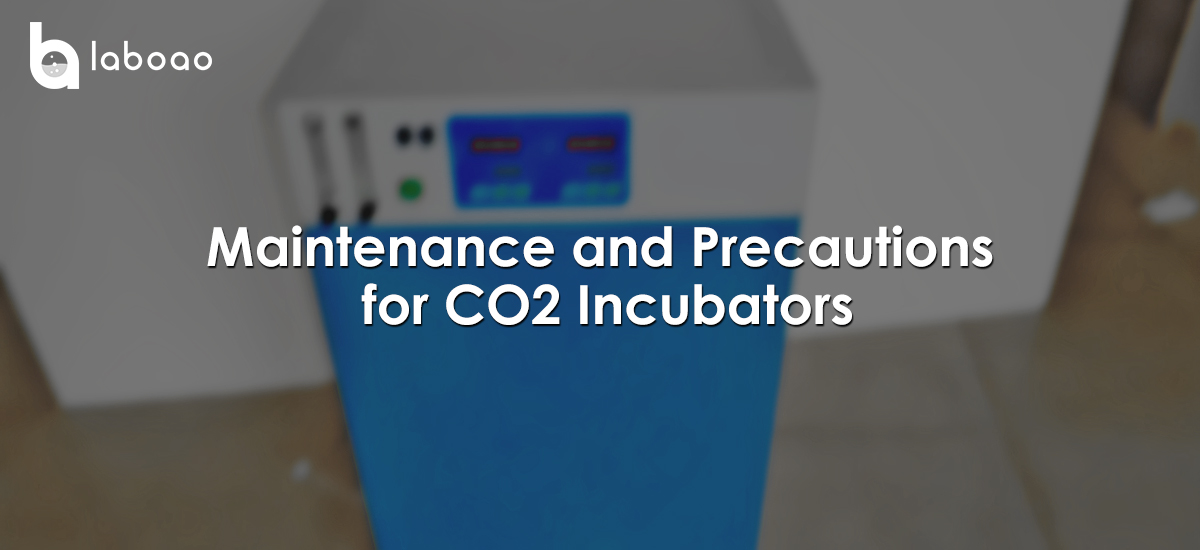 Maintenance And Precautions For CO2 Incubators