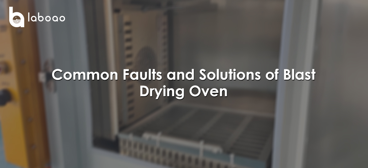 Common Faults And Solutions Of Blast Drying Oven