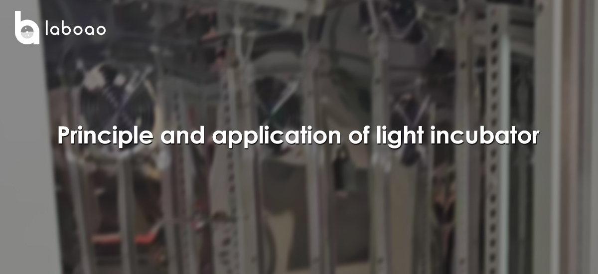 Principle And Application Of Light Incubator