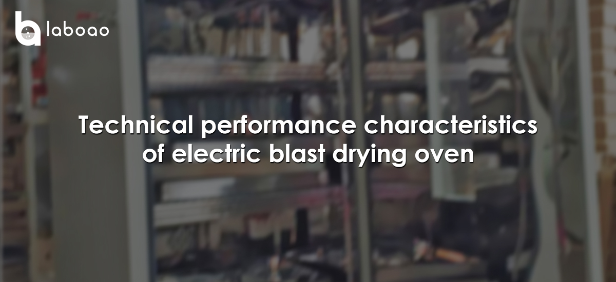 Technical Performance Characteristics Of Electric Blast Drying Oven